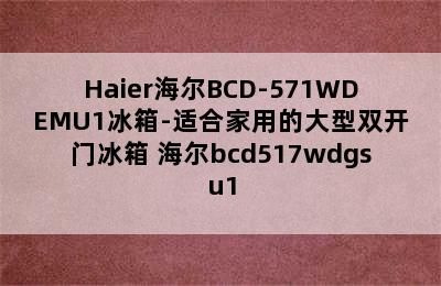 Haier海尔BCD-571WDEMU1冰箱-适合家用的大型双开门冰箱 海尔bcd517wdgsu1